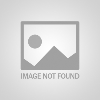 National Ladder Safety Month: Climbing with Confidence